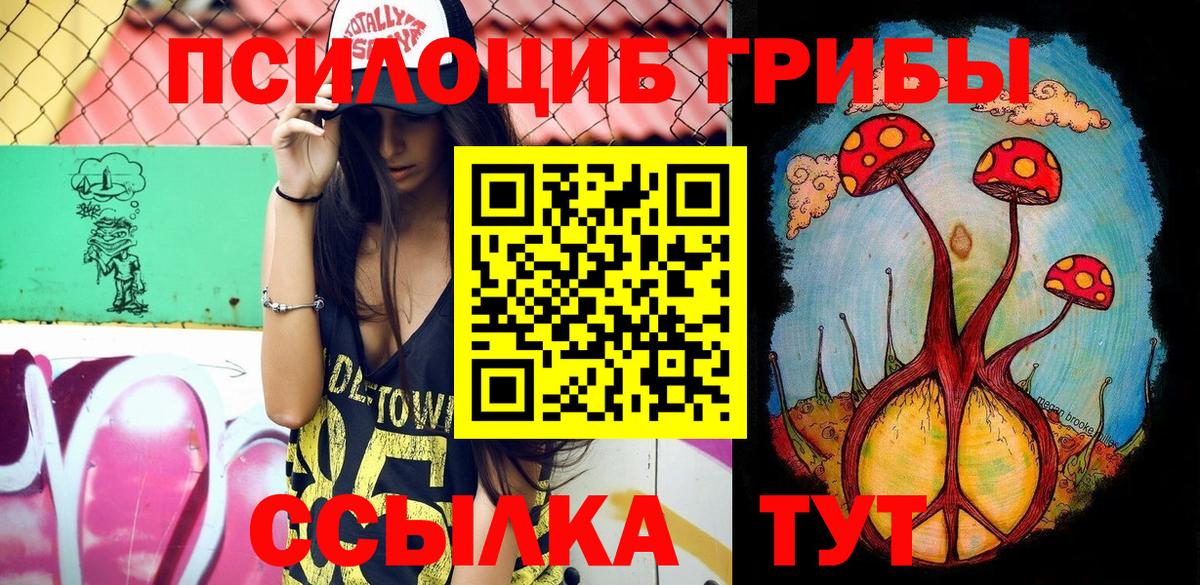 Псилоцибиновые грибы мицелий Гагарин