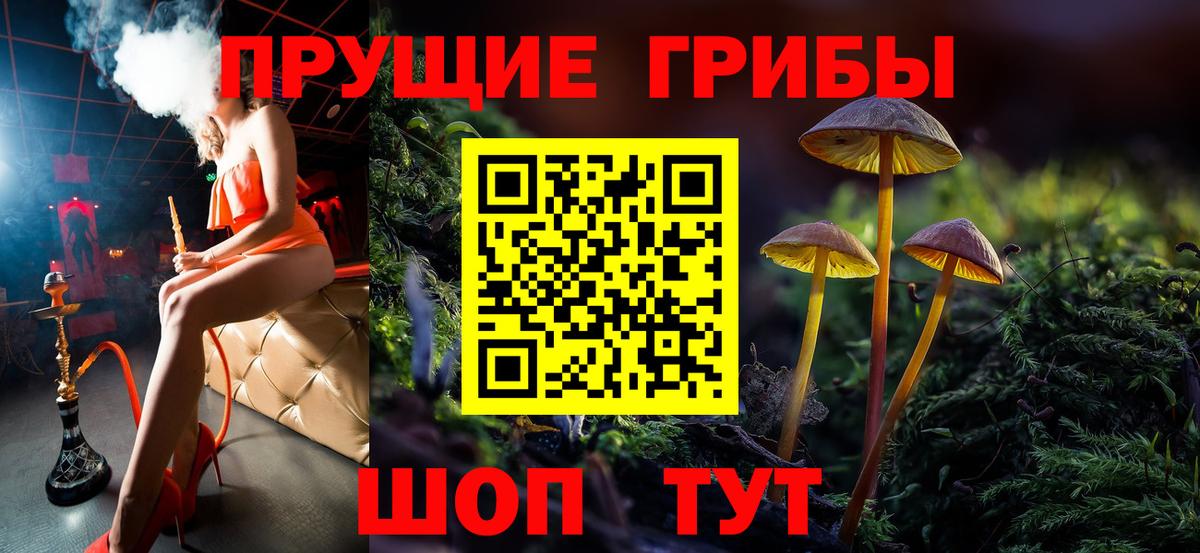 Гагарин  Галлюциногенные грибы Cubensis  даркнет сайт  Вход с VPN 